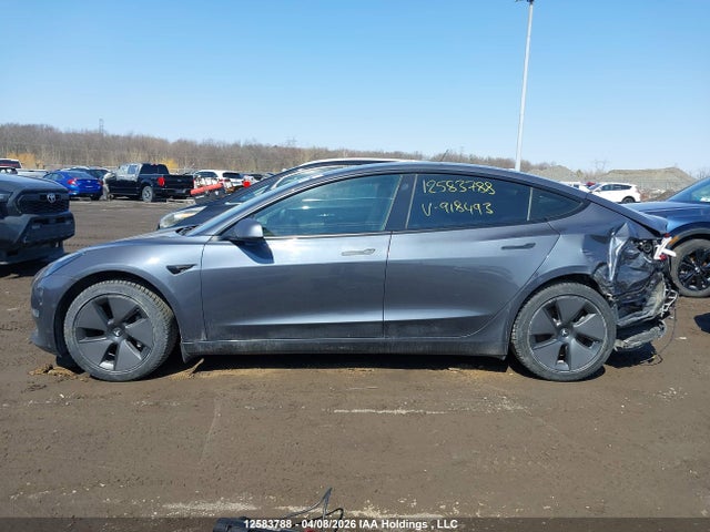 Aukcja sprzedaży 2021 Tesla Model 3 Standard Range/standard Range Plus, vin: 5YJ3E1EA6MF918493, numer aukcji: 12583788