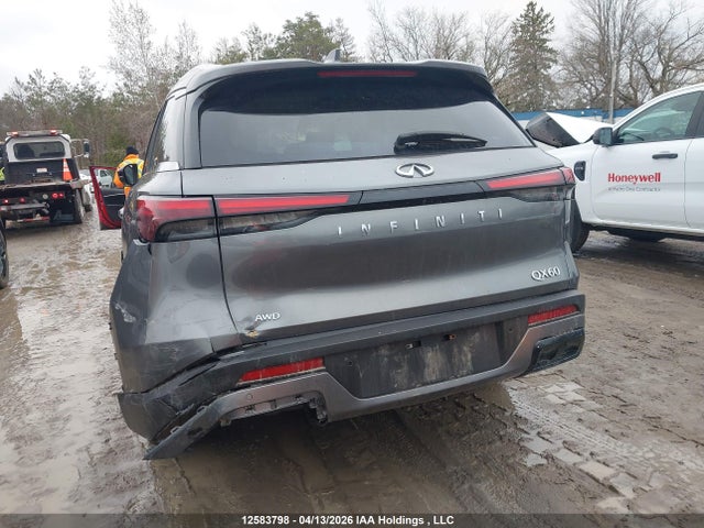 Aukcja sprzedaży 2023 Infiniti Qx60 Luxe, vin: 5N1DL1FS2PC366005, numer aukcji: 12583798
