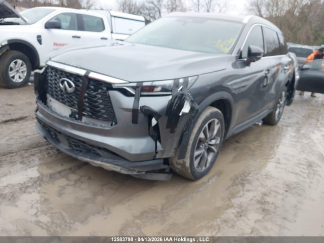 Aukcja sprzedaży 2023 Infiniti Qx60 Luxe, vin: 5N1DL1FS2PC366005, numer aukcji: 12583798