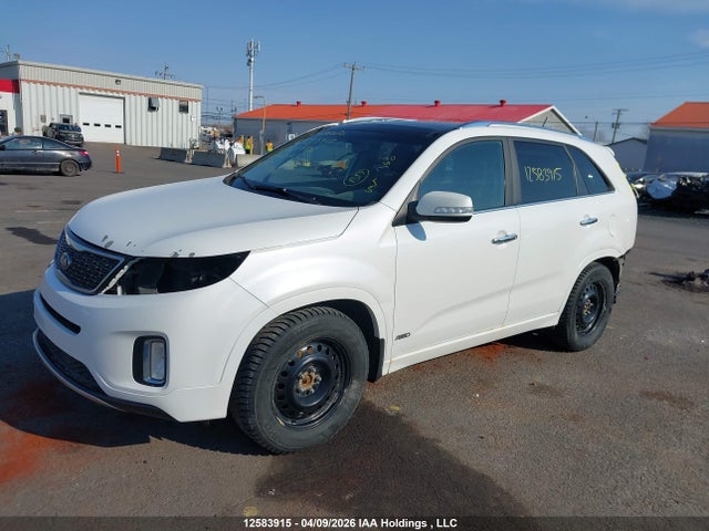5XYKWDA7XFG561786 KIA SORENTO SX