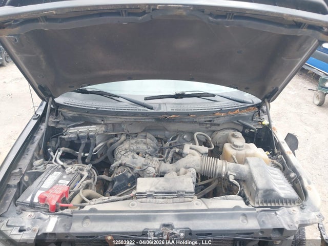 Aukcja sprzedaży 2013 Ford F150, vin: 1FTMF1CM2DKD75693, numer aukcji: 12583922