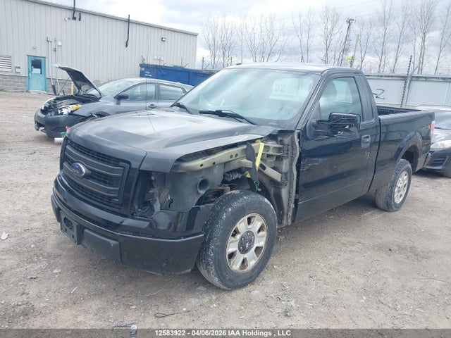 Aukcja sprzedaży 2013 Ford F150, vin: 1FTMF1CM2DKD75693, numer aukcji: 12583922