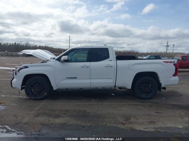 Aukcja sprzedaży 2023 Toyota Tundra Sr, vin: 5TFLA5DAXPX065157, numer aukcji: 12583966