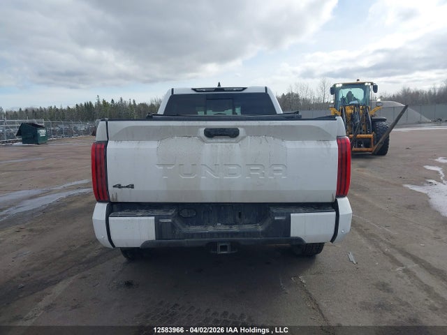 Aukcja sprzedaży 2023 Toyota Tundra Sr, vin: 5TFLA5DAXPX065157, numer aukcji: 12583966