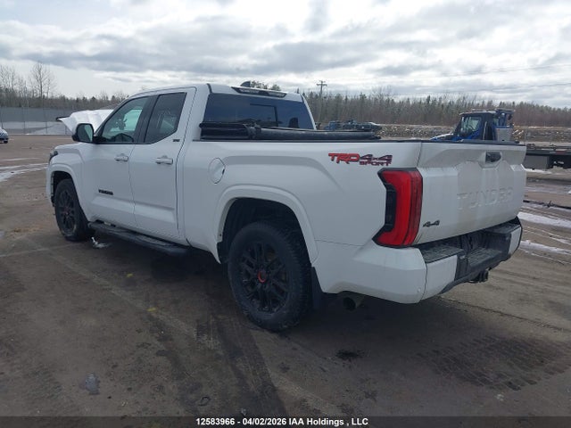 Aukcja sprzedaży 2023 Toyota Tundra Sr, vin: 5TFLA5DAXPX065157, numer aukcji: 12583966