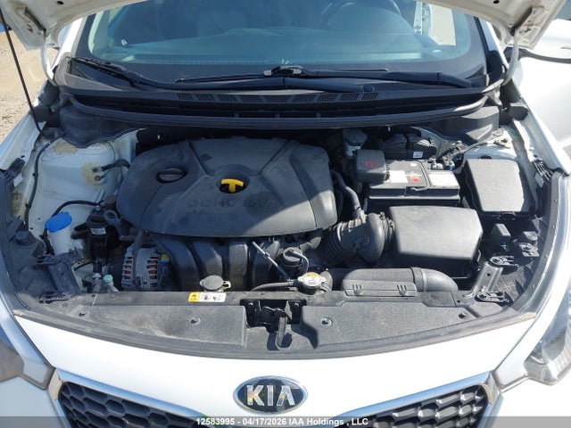 2014 Kia Forte მანქანა იყიდება აუქციონზე, vin: KNAFX4A62E5113522, აუქციონის ნომერი: 12583995