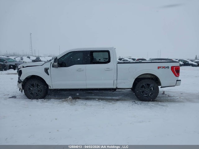 Auction sale of the 2022 Ford F-150 Xlt, vin: 1FTFW1E57NKE95599, lot number: 12584013
