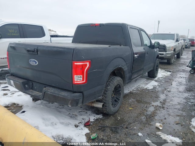 1FTEW1EP1GKF01011 Ford F-150 Xlt