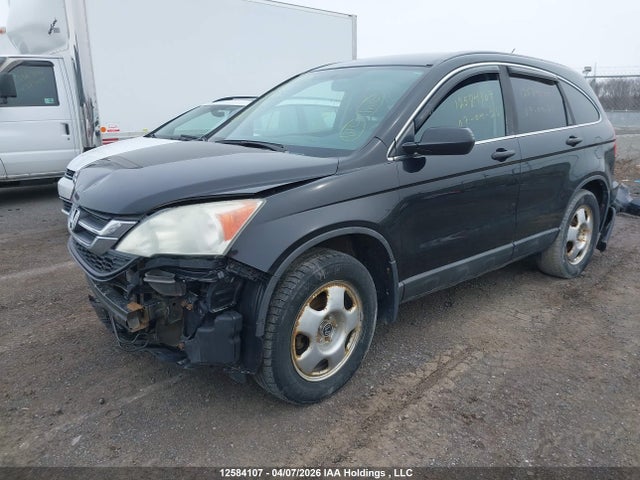 2010 Honda Cr-v მანქანა იყიდება აუქციონზე, vin: 5J6RE3H38AL800810, აუქციონის ნომერი: 12584107