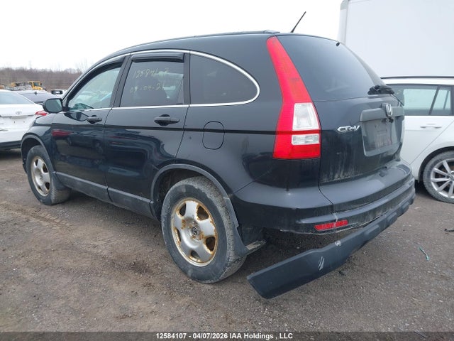 2010 Honda Cr-v მანქანა იყიდება აუქციონზე, vin: 5J6RE3H38AL800810, აუქციონის ნომერი: 12584107