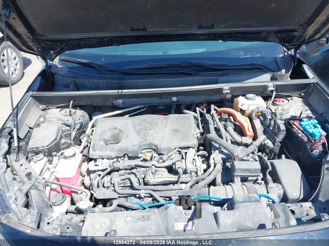 Продаж на аукціоні авто 2019 Toyota Rav4 Limited, vin: 2T3DWRFV3KW001276, номер лоту: 12584272