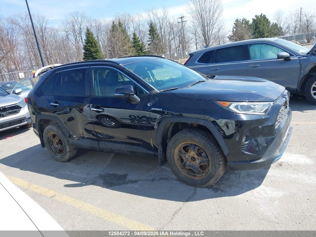 Продаж на аукціоні авто 2019 Toyota Rav4 Limited, vin: 2T3DWRFV3KW001276, номер лоту: 12584272