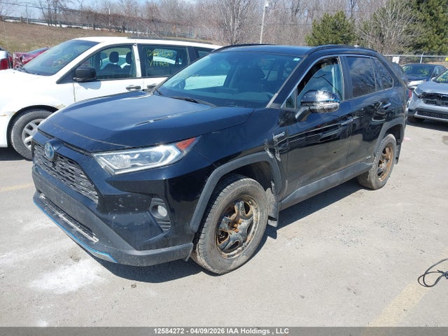 Продаж на аукціоні авто 2019 Toyota Rav4 Limited, vin: 2T3DWRFV3KW001276, номер лоту: 12584272