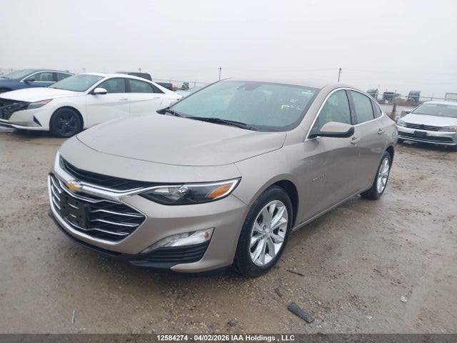 Aukcja sprzedaży 2024 Chevrolet Malibu Lt, vin: 1G1ZD5ST4RF175029, numer aukcji: 12584274