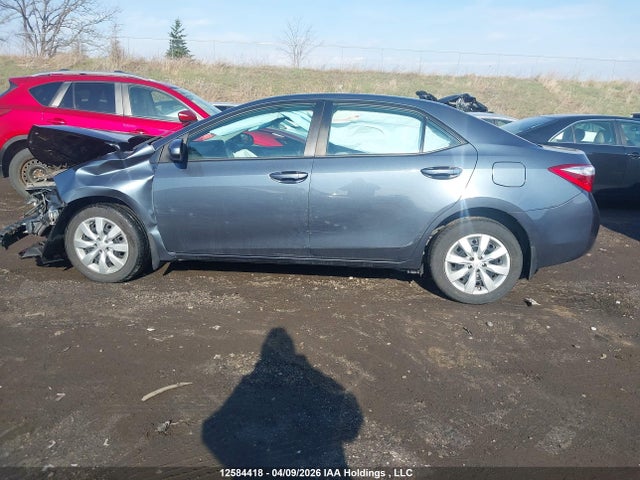 2T1BURHE9GC556566 Toyota Corolla