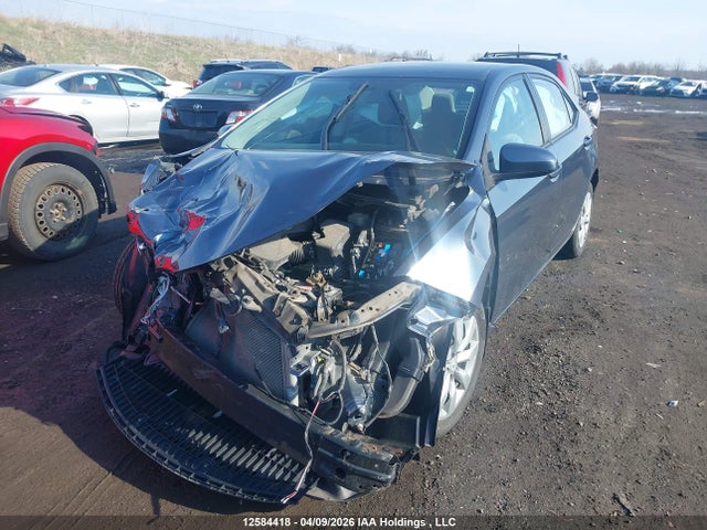 2T1BURHE9GC556566 Toyota Corolla