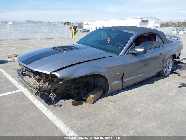 Продажа на аукционе авто 2007 Ford Mustang Gt, vin: 1ZVHT85H775313032, номер лота: 12584446