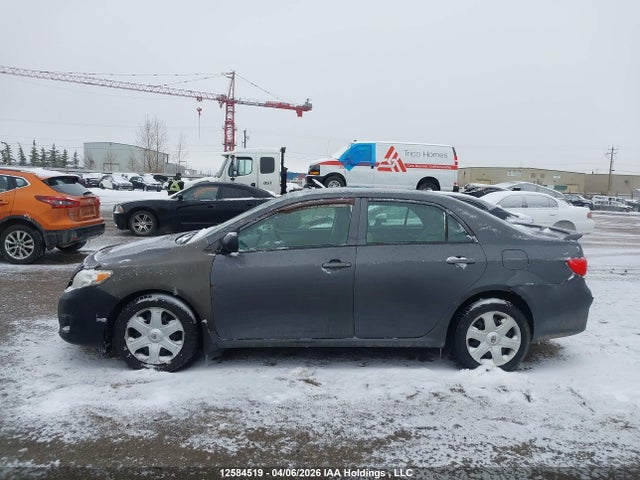 12584519 :رقم المزاد ، 2T1BU4EE4AC193737 vin ، 2010 Toyota Corolla S/le/xle مزاد بيع