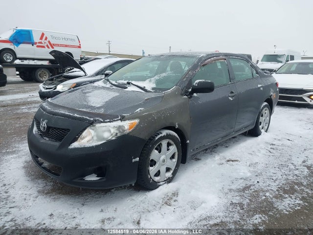 12584519 :رقم المزاد ، 2T1BU4EE4AC193737 vin ، 2010 Toyota Corolla S/le/xle مزاد بيع
