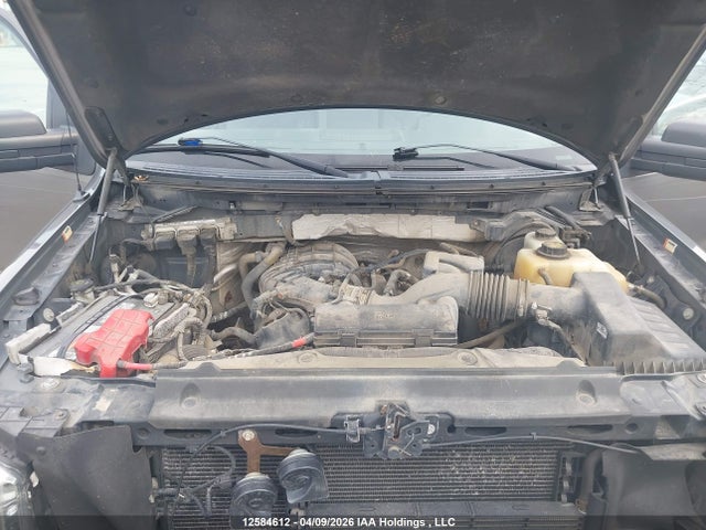2013 Ford F-150 მანქანა იყიდება აუქციონზე, vin: 1FTMF1EM4DKF88934, აუქციონის ნომერი: 12584612