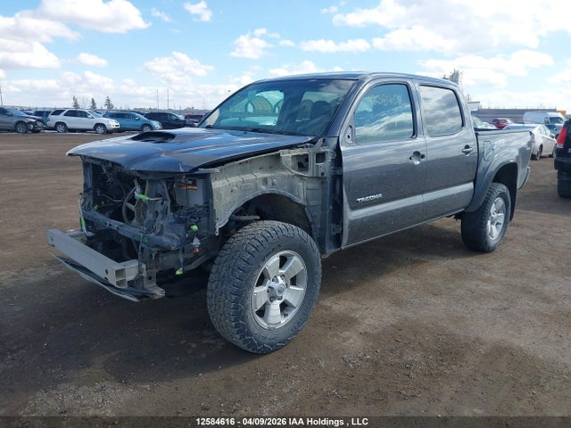 Продажа на аукционе авто 2011 Toyota Tacoma V6, vin: 5TFLU4EN1BX010737, номер лота: 12584616
