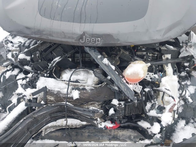 Продаж на аукціоні авто 2019 Jeep Compass Trailhawk, vin: 3C4NJDDB3KT818656, номер лоту: 12584727