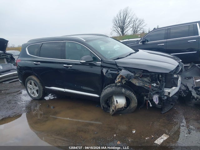 Продажа на аукционе авто 2023 Hyundai Santa Fe Calligraphy, vin: 5NMS5DAL1PH529624, номер лота: 12584737