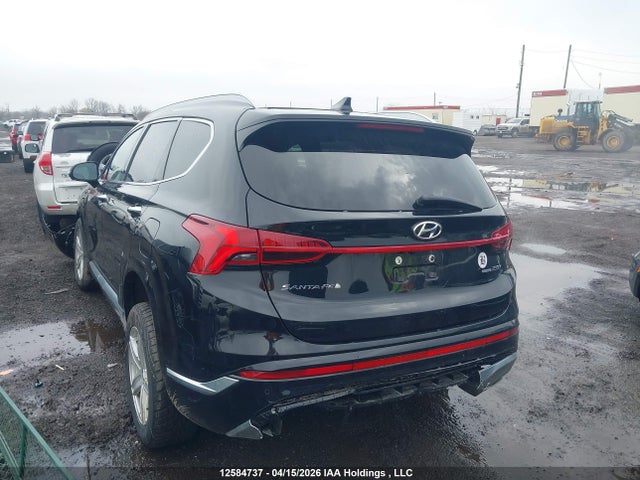 Продажа на аукционе авто 2023 Hyundai Santa Fe Calligraphy, vin: 5NMS5DAL1PH529624, номер лота: 12584737