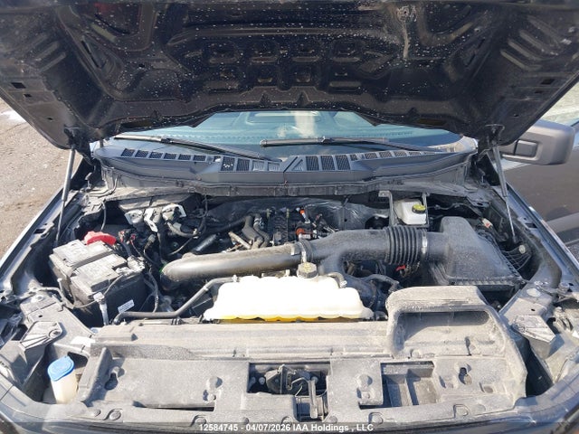 1FTFW3L88SKE91209 Ford F150 Xlt