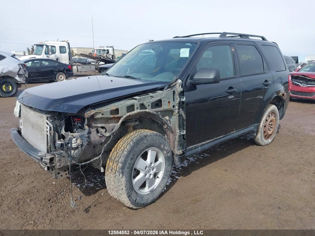 Продажа на аукционе авто 2011 Ford Escape Xlt, vin: 1FMCU9DG8BKB00315, номер лота: 12584852
