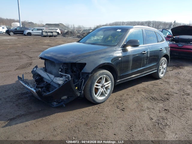 WA1M2AFP9GA108847 Audi Q5 2.0t Progressiv
