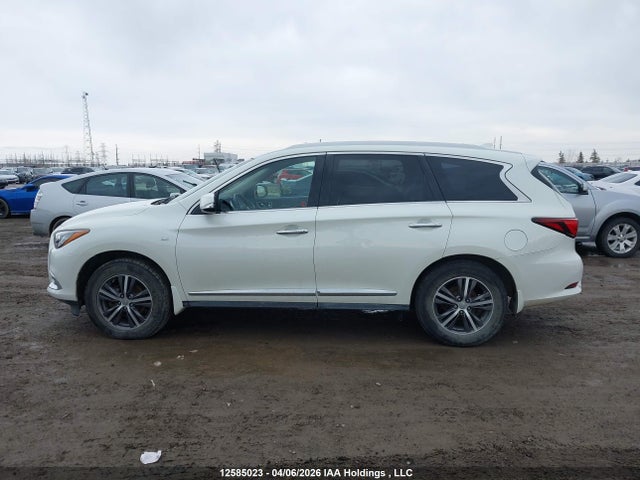 5N1DL0MM5KC533822 Infiniti Qx60 Luxe/pure