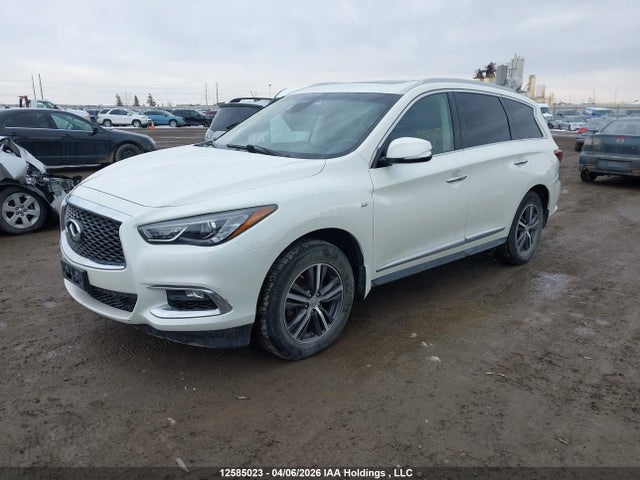 5N1DL0MM5KC533822 Infiniti Qx60 Luxe/pure