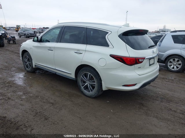 5N1DL0MM5KC533822 Infiniti Qx60 Luxe/pure