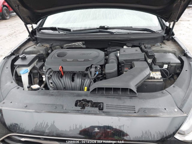 5NPE24AFXJH625553 Hyundai SONATA GL