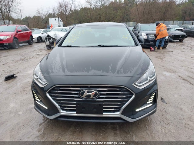 5NPE24AFXJH625553 Hyundai SONATA GL