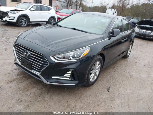 5NPE24AFXJH625553 Hyundai SONATA GL
