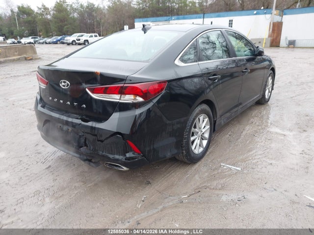5NPE24AFXJH625553 Hyundai SONATA GL