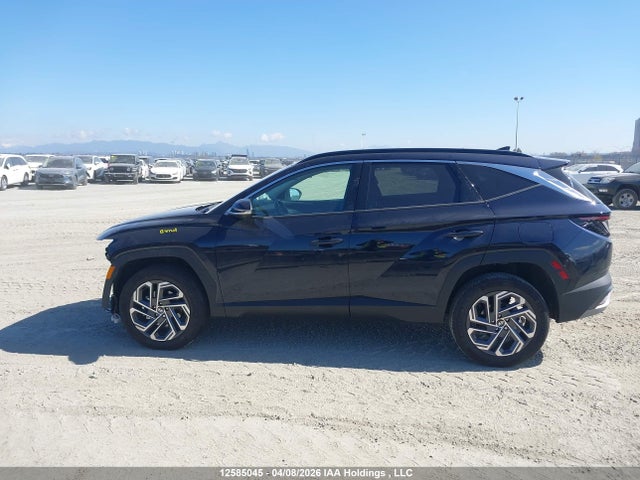 12585045 :رقم المزاد ، KM8JCDD14SU363768 vin ، 2025 Hyundai Tucson Ultimate Hybrid Awd مزاد بيع