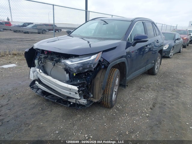12585049 :رقم المزاد ، 2T3RWRFVXSW294261 vin ، 2025 Toyota Rav4 Hybrid Xle مزاد بيع