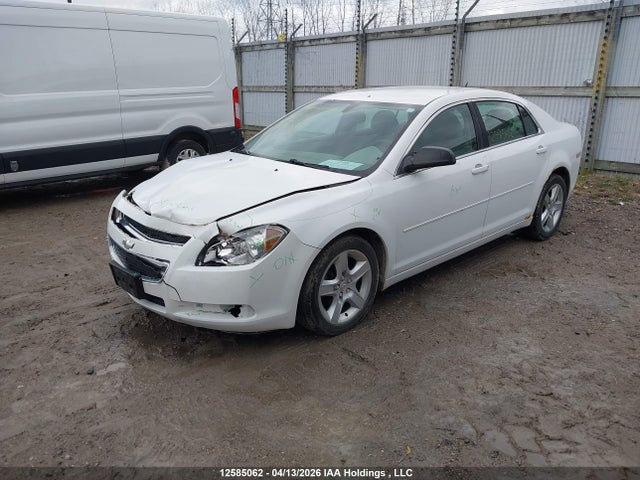2011 Chevrolet Malibu Ls მანქანა იყიდება აუქციონზე, vin: 1G1ZB5EU4BF108950, აუქციონის ნომერი: 12585062
