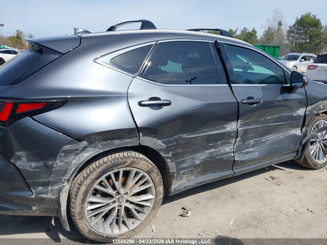 Lexus Nx 350h 350h 2025 2T2GKCEZ6SC043134 Image 11