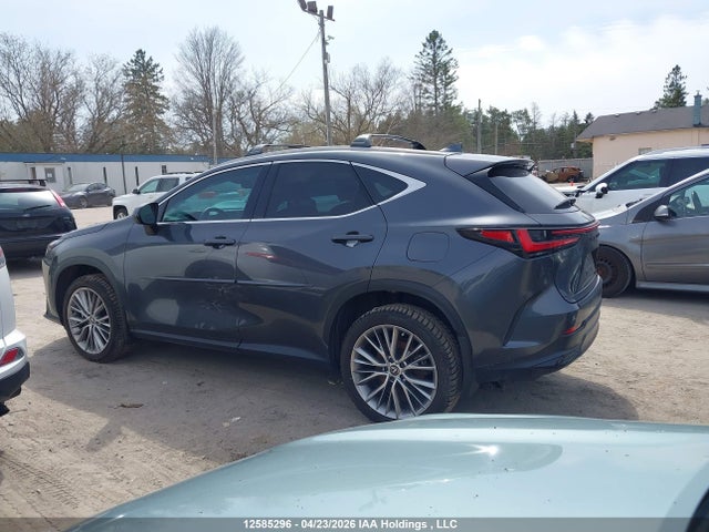 Lexus Nx 350h 350h 2025 2T2GKCEZ6SC043134 Image 14
