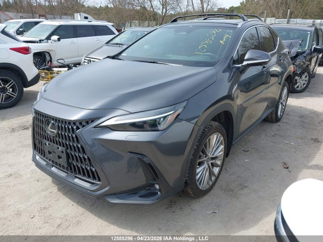 Lexus Nx 350h 350h 2025 2T2GKCEZ6SC043134 Image 2
