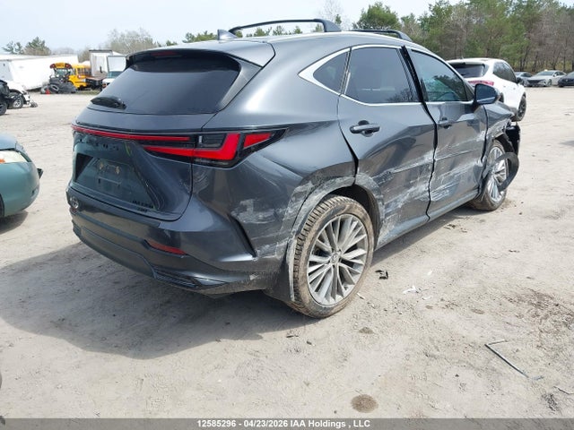Lexus Nx 350h 350h 2025 2T2GKCEZ6SC043134 Image 4