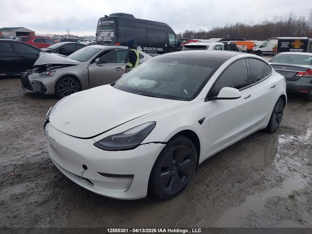 Продажа на аукционе авто 2023 Tesla Model 3 Rwd, vin: LRW3E1FA9PC875698, номер лота: 12585301