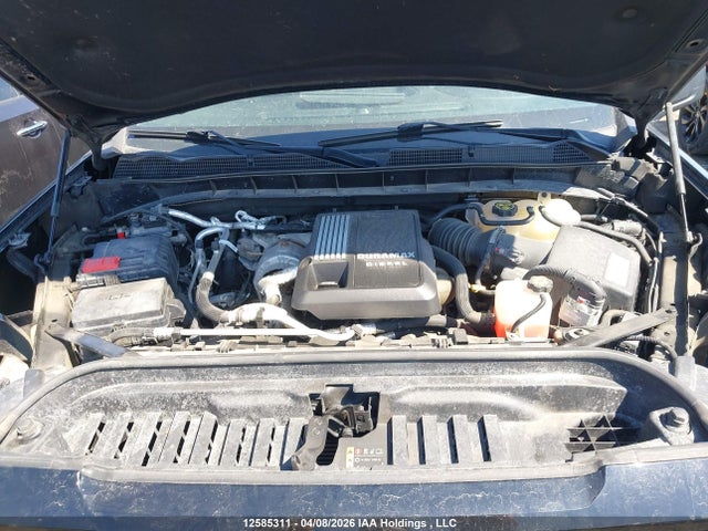3GTU9CETXMG174705 GMC Sierra K1500 Elevation