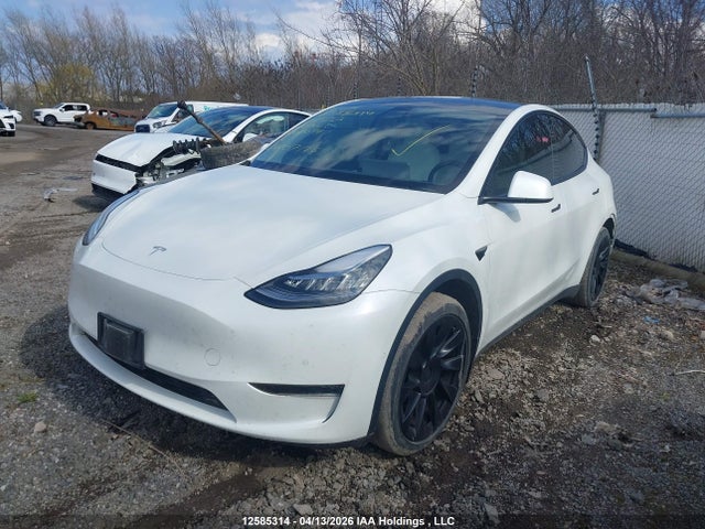2021 Tesla Model Y მანქანა იყიდება აუქციონზე, vin: 5YJYGDEE1MF060094, აუქციონის ნომერი: 12585314