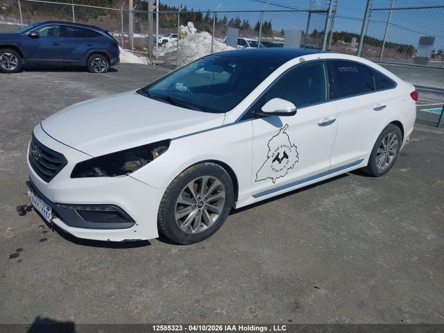 5NPE34AF5FH144145 Hyundai Sonata Sport/limited