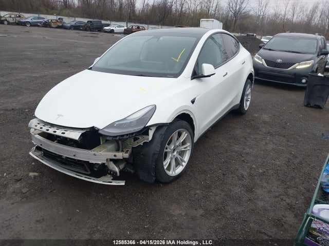 Продаж на аукціоні авто 2023 Tesla Model Y Rwd, vin: LRWYGDFD0PC902766, номер лоту: 12585366